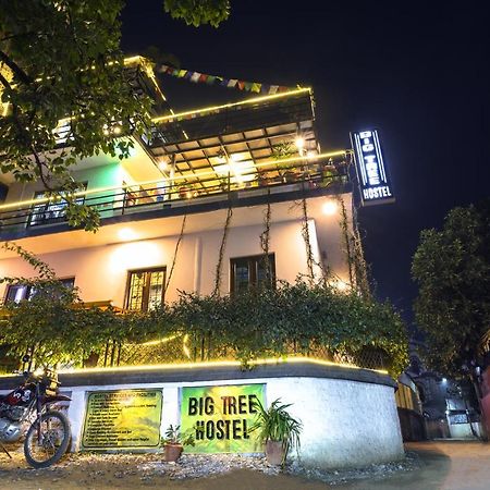 Big Tree Hostel Катманду Екстер'єр фото
